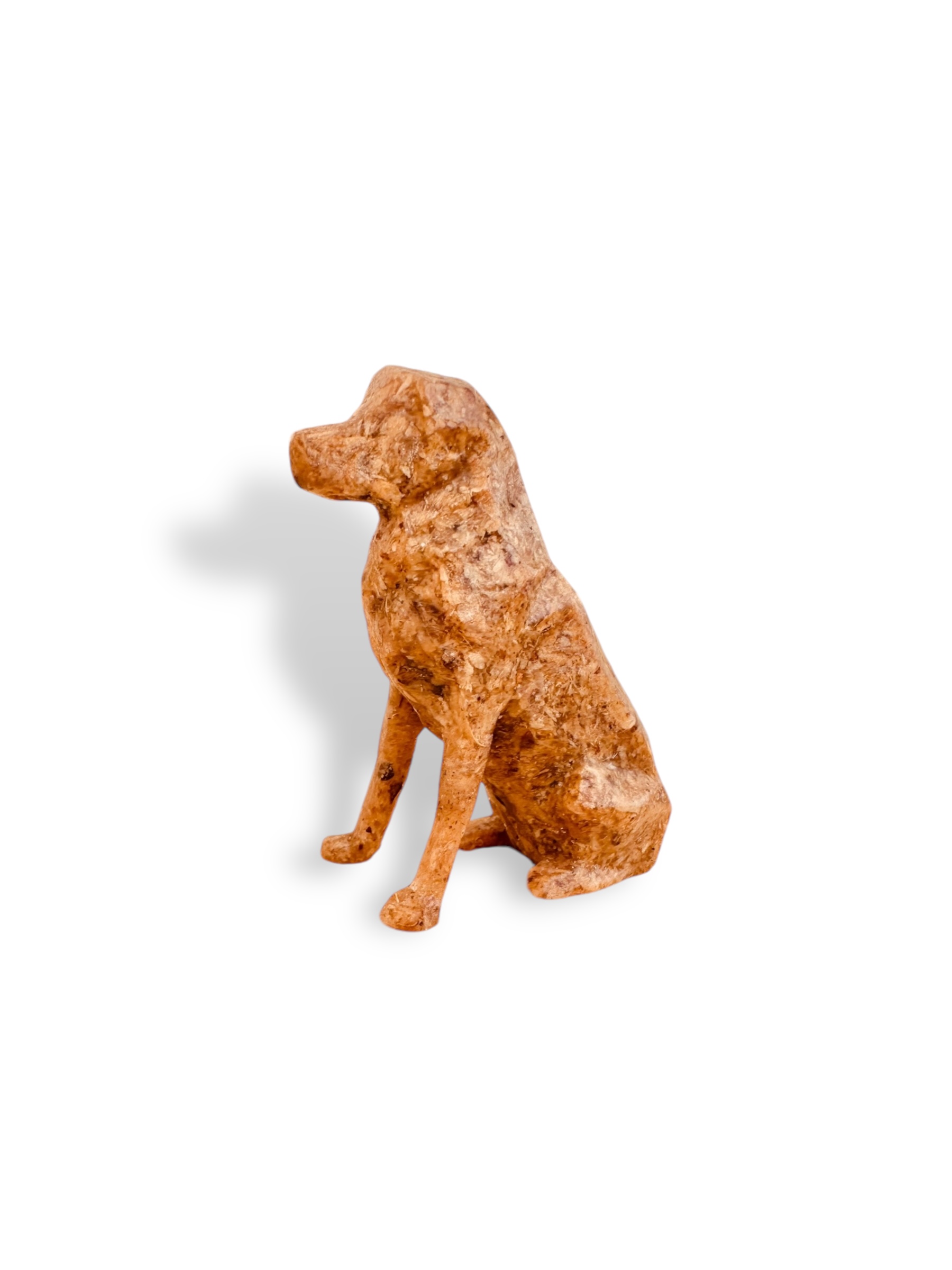 Perro pequeño - Image 5
